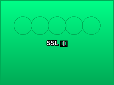 SSL 加密